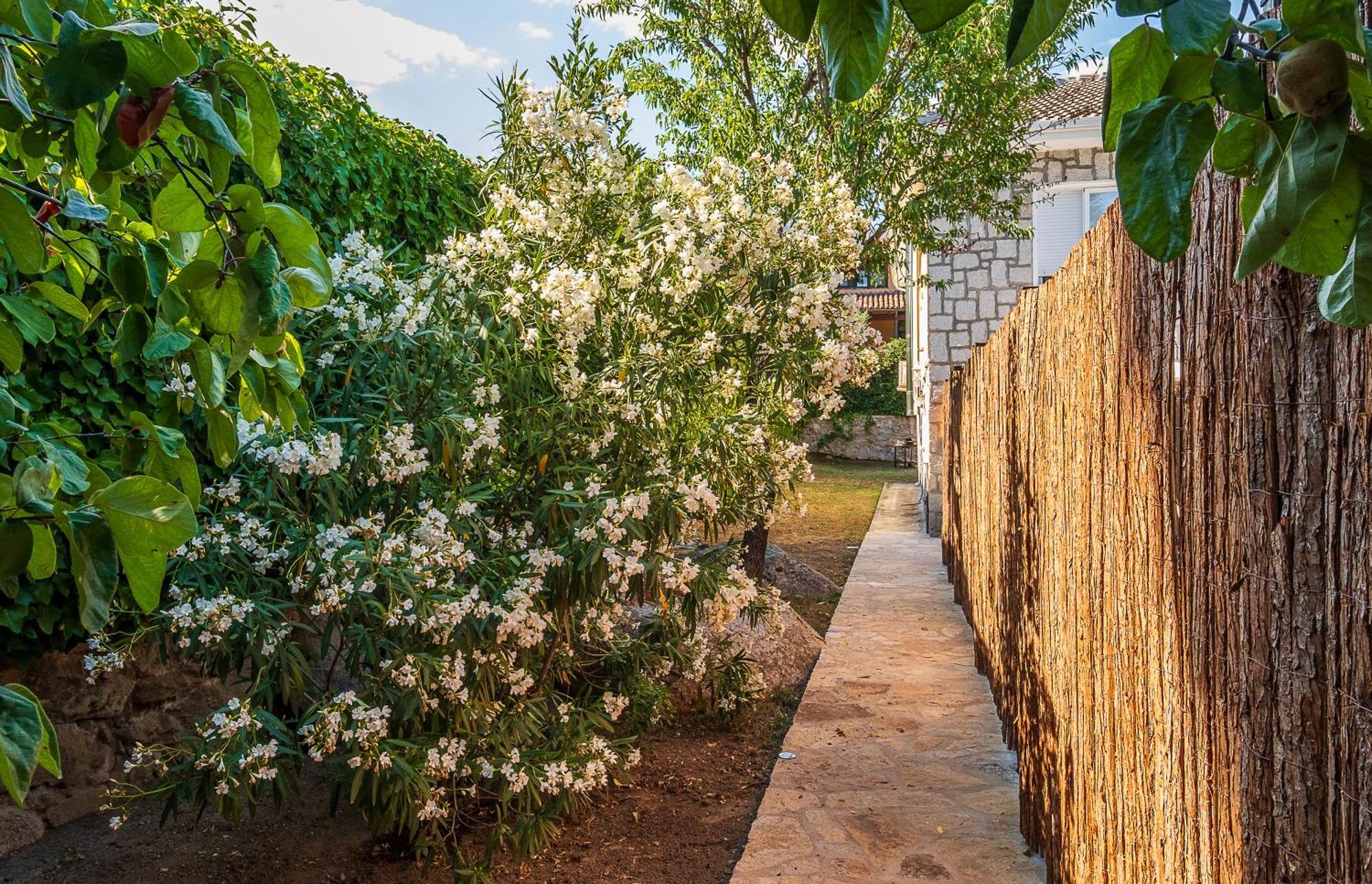 מטאלפינו La Puerta Verde מראה חיצוני תמונה